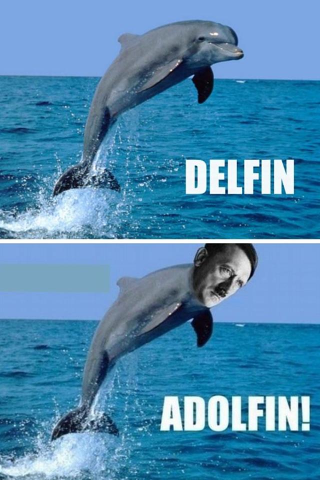 Delfin. Képek hitler viccek vicces képek delfin