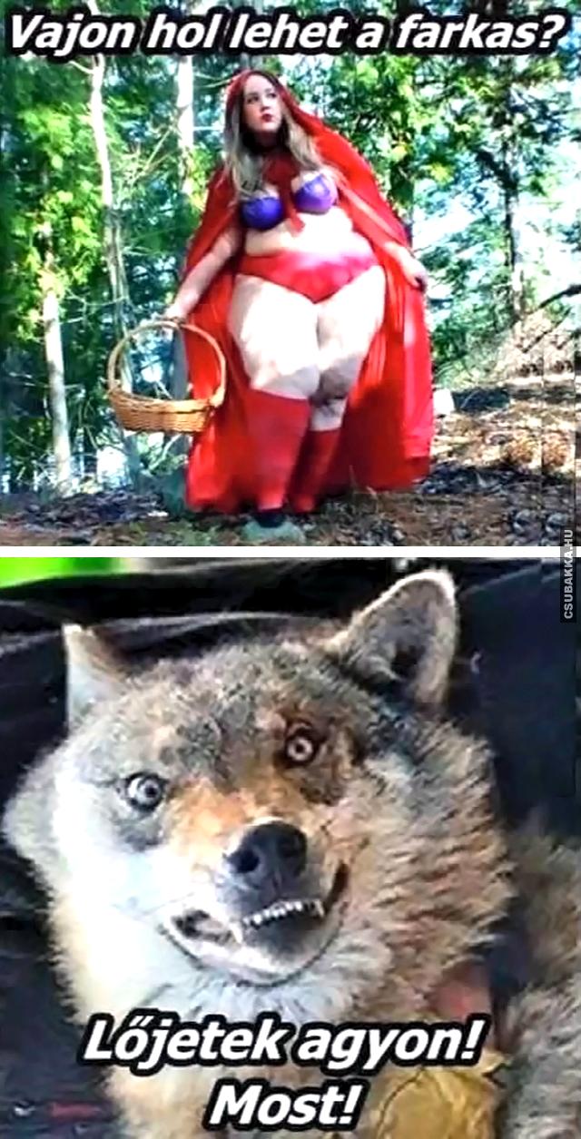 Piroskának tervei vannak a farkassal piros terv farkas