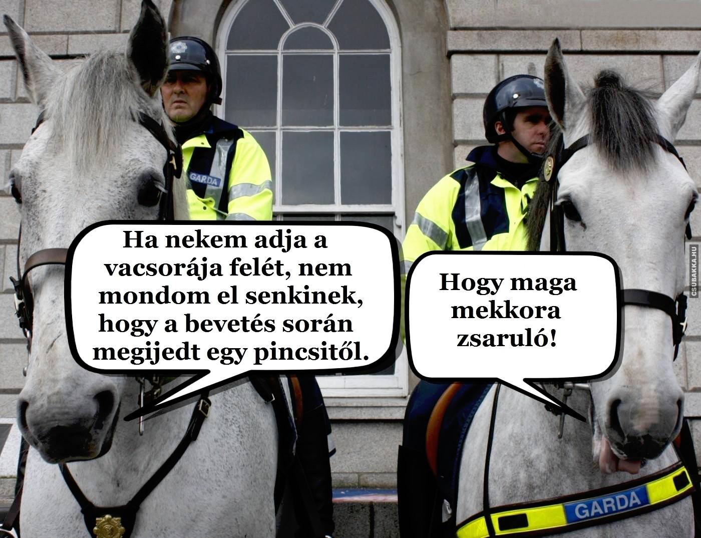 Rendőrlovak :) rendőr lovak