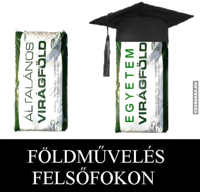 Földművelés földművelés